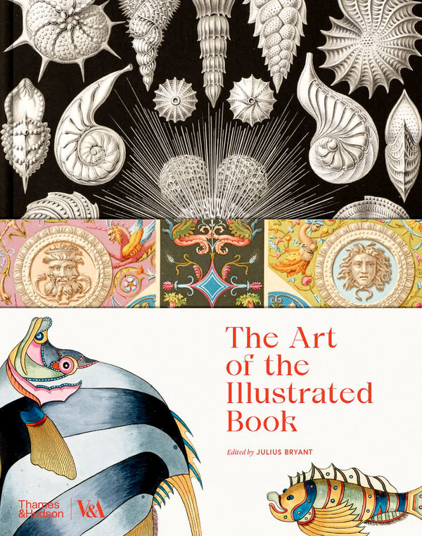 The Art of the Illustrated Book